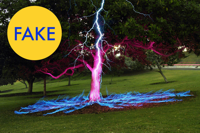 Illustration for article titled 86 Viral Images From 2014 That Were Totally Fake